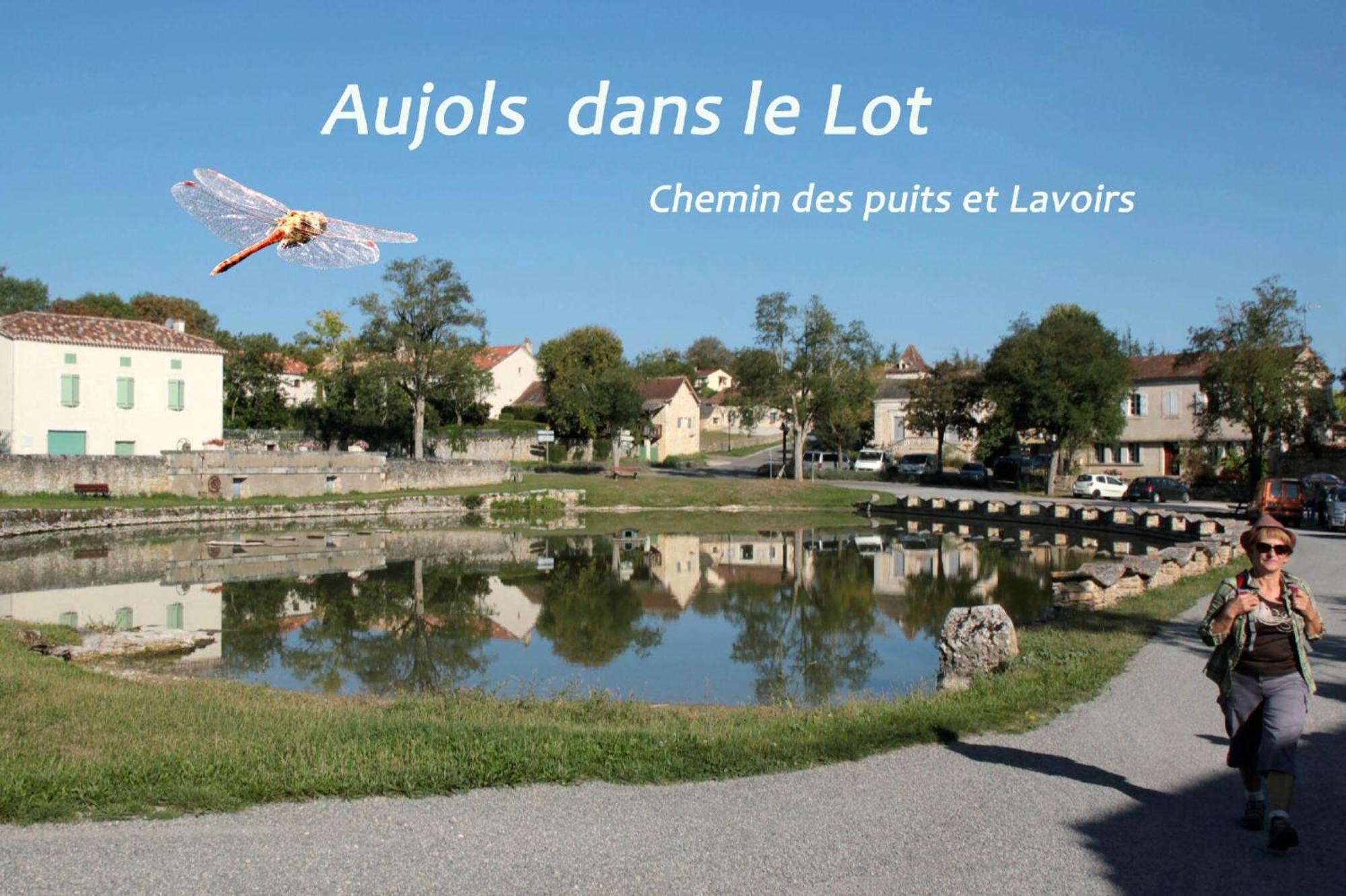 Ferienhaus La Longere Du Moulin Laburgade